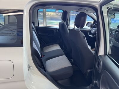 Fiat Panda Gebrauchtwagen