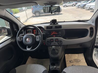 Fiat Panda Gebrauchtwagen