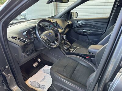 Ford Kuga Gebrauchtwagen