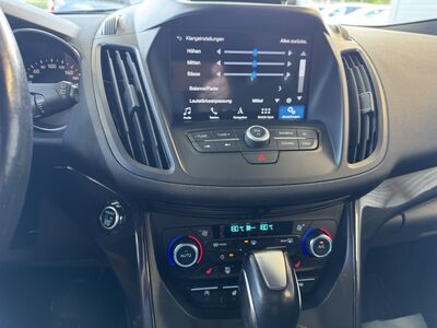 Ford Kuga Gebrauchtwagen