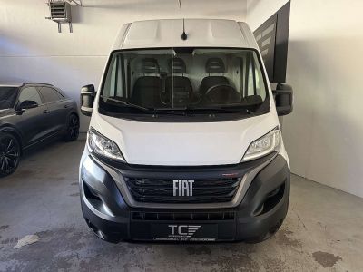 Fiat Ducato Gebrauchtwagen