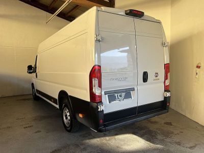 Fiat Ducato Gebrauchtwagen