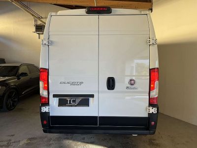 Fiat Ducato Gebrauchtwagen