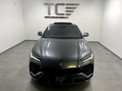 Lamborghini Urus Gebrauchtwagen