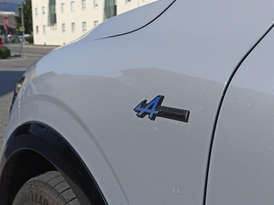 Renault Mégane Vorführwagen Renault Mégane Vorführwagen