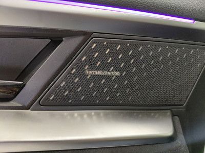 Renault Austral Vorführwagen