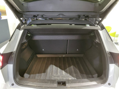 Renault Austral Vorführwagen