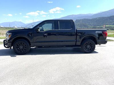 Ford F-150/F-250 Gebrauchtwagen Ford F-150/F-250 Gebrauchtwagen