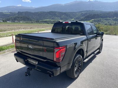 Ford F-150/F-250 Gebrauchtwagen Ford F-150/F-250 Gebrauchtwagen