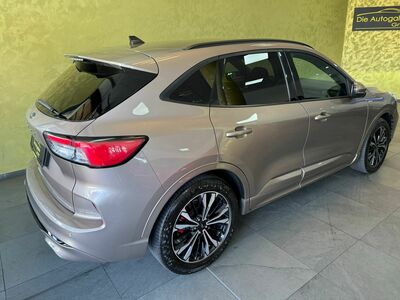 Ford Kuga Gebrauchtwagen