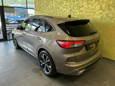 Ford Kuga Gebrauchtwagen