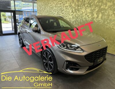 Ford Kuga Gebrauchtwagen