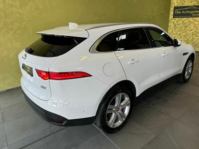 Jaguar F-Pace Gebrauchtwagen