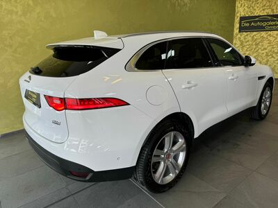 Jaguar F-Pace Gebrauchtwagen