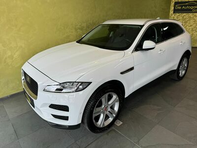 Jaguar F-Pace Gebrauchtwagen