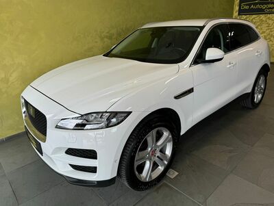 Jaguar F-Pace Gebrauchtwagen