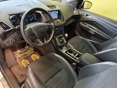 Ford Kuga Gebrauchtwagen