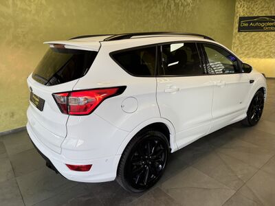 Ford Kuga Gebrauchtwagen