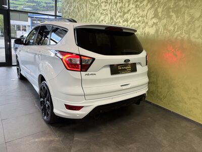 Ford Kuga Gebrauchtwagen