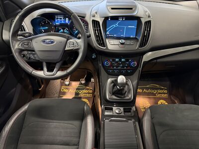 Ford Kuga Gebrauchtwagen
