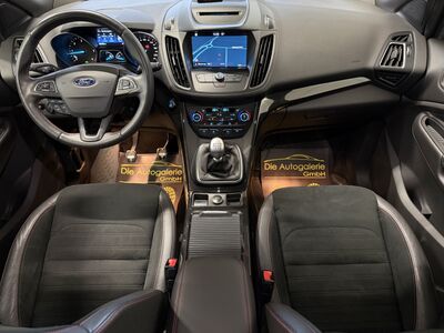 Ford Kuga Gebrauchtwagen