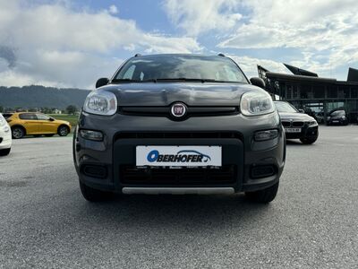 Fiat Panda Gebrauchtwagen