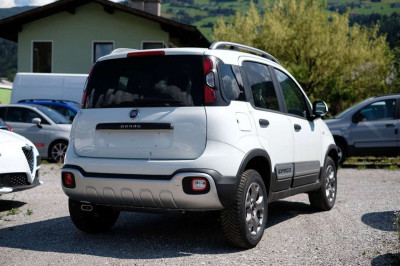 Fiat Panda Gebrauchtwagen