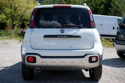 Fiat Panda Gebrauchtwagen