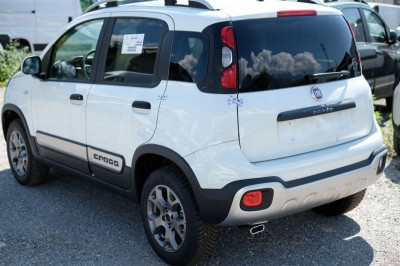 Fiat Panda Gebrauchtwagen