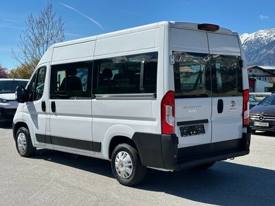 Fiat Ducato Gebrauchtwagen