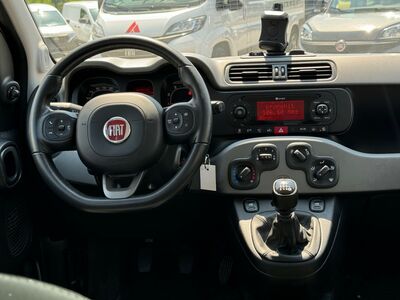 Fiat Panda Gebrauchtwagen