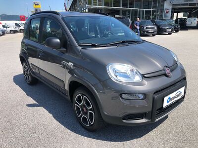 Fiat Panda Gebrauchtwagen