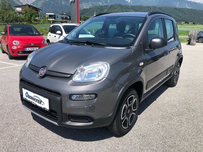 Fiat Panda Gebrauchtwagen