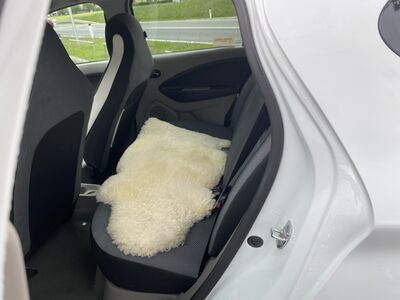 Renault Zoe Gebrauchtwagen