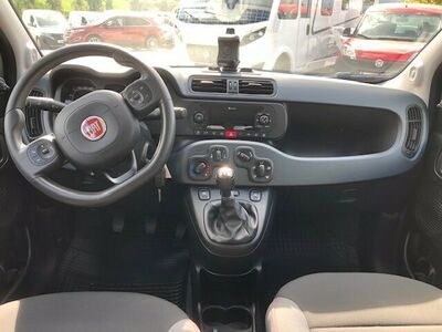 Fiat Panda Gebrauchtwagen