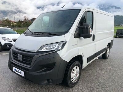 Fiat Ducato Gebrauchtwagen