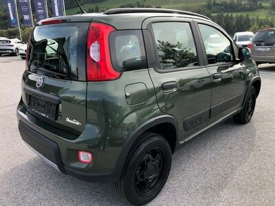 Fiat Panda Gebrauchtwagen