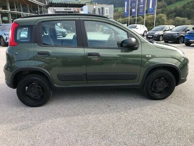 Fiat Panda Gebrauchtwagen