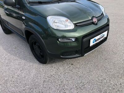 Fiat Panda Gebrauchtwagen