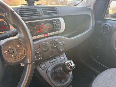 Fiat Panda Vorführwagen