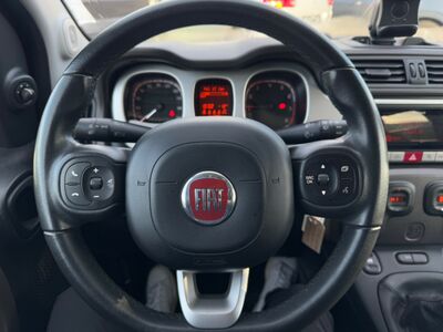 Fiat Panda Gebrauchtwagen