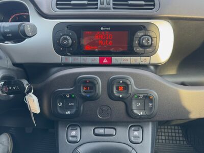 Fiat Panda Gebrauchtwagen