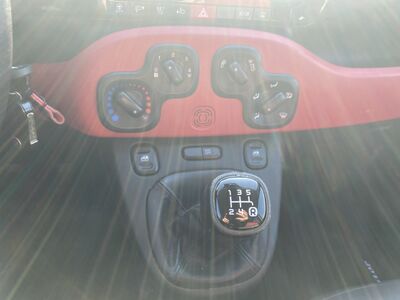 Fiat Panda Gebrauchtwagen