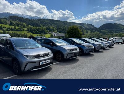 BYD Dolphin Neuwagen