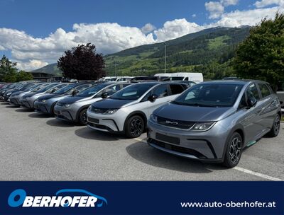 BYD Dolphin Neuwagen