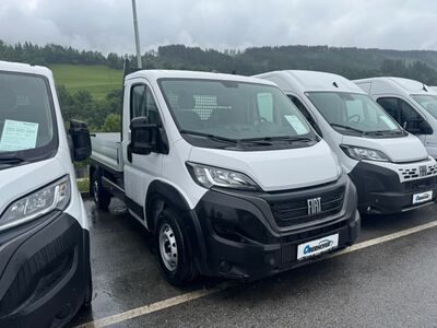 Fiat Ducato Tageszulassung