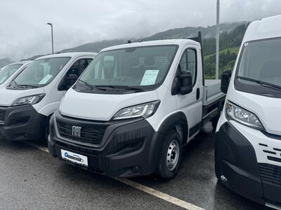 Fiat Ducato Tageszulassung