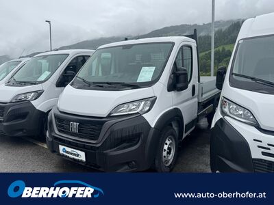 Fiat Ducato Tageszulassung