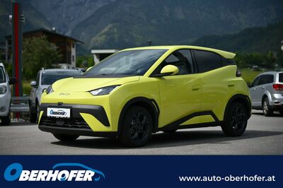 BYD Dolphin Neuwagen