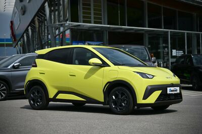 BYD Dolphin Neuwagen